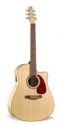 Seagull 32464 Performer CW Flame Maple HG QI